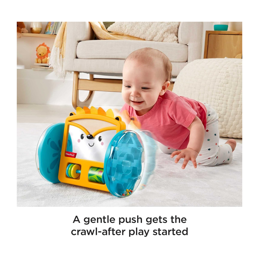 Fisher Price GJW14 Play & Crawl Hedgehog Mirror, Ages 3m+ (Damaged Box)