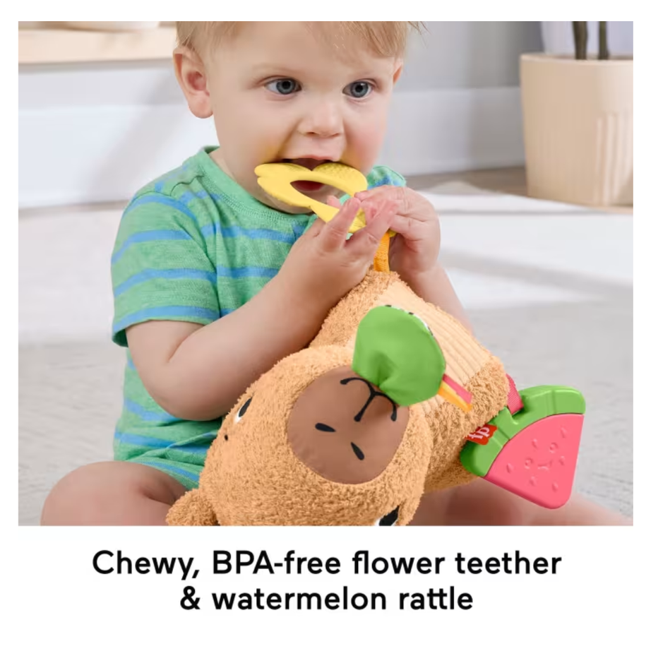 Fisher Price HYR54 Snuggly Snacky Capybara Plush Sensory Toy, Ages 3month+