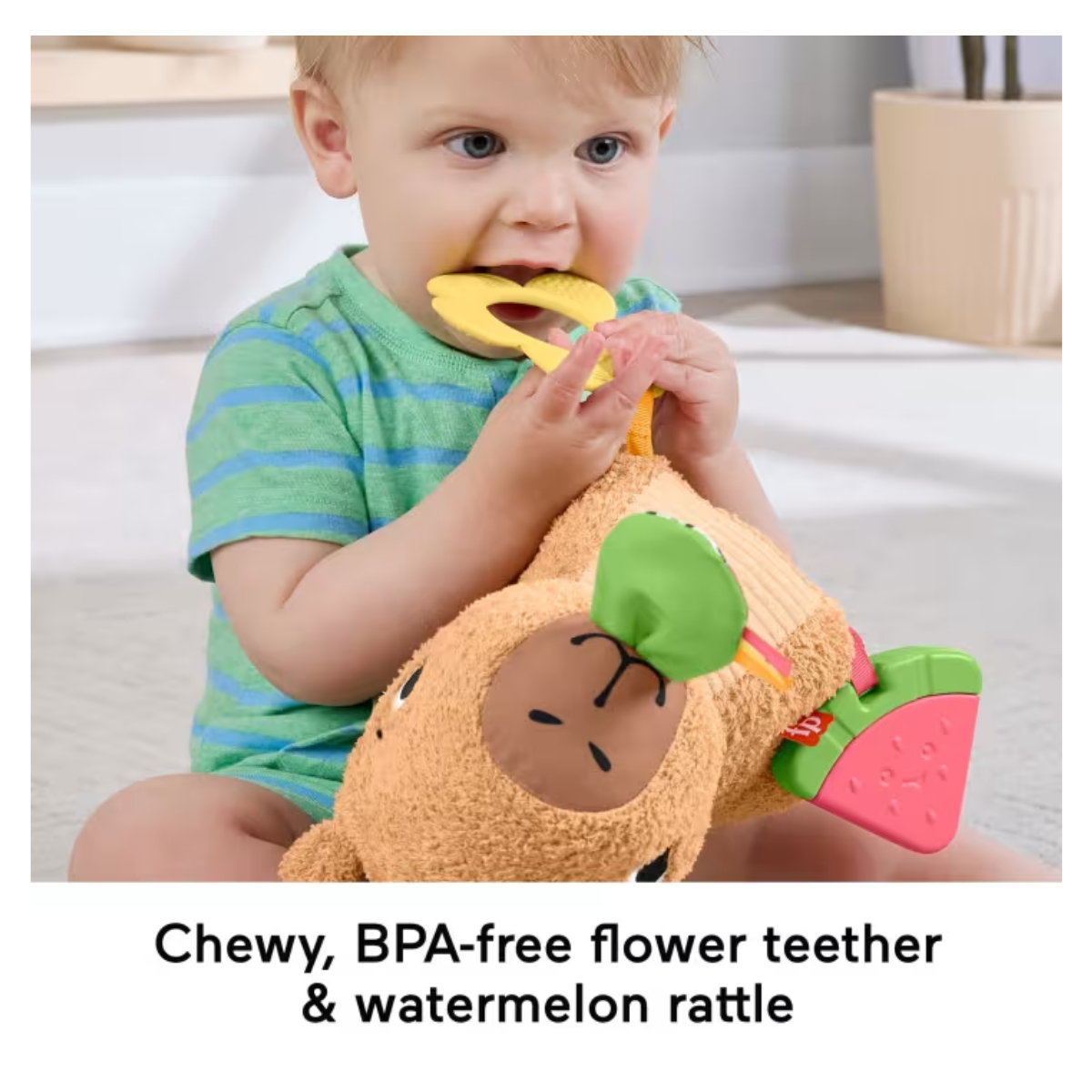 Fisher Price HYR54 Snuggly Snacky Capybara Plush Sensory Toy, Ages 3month+