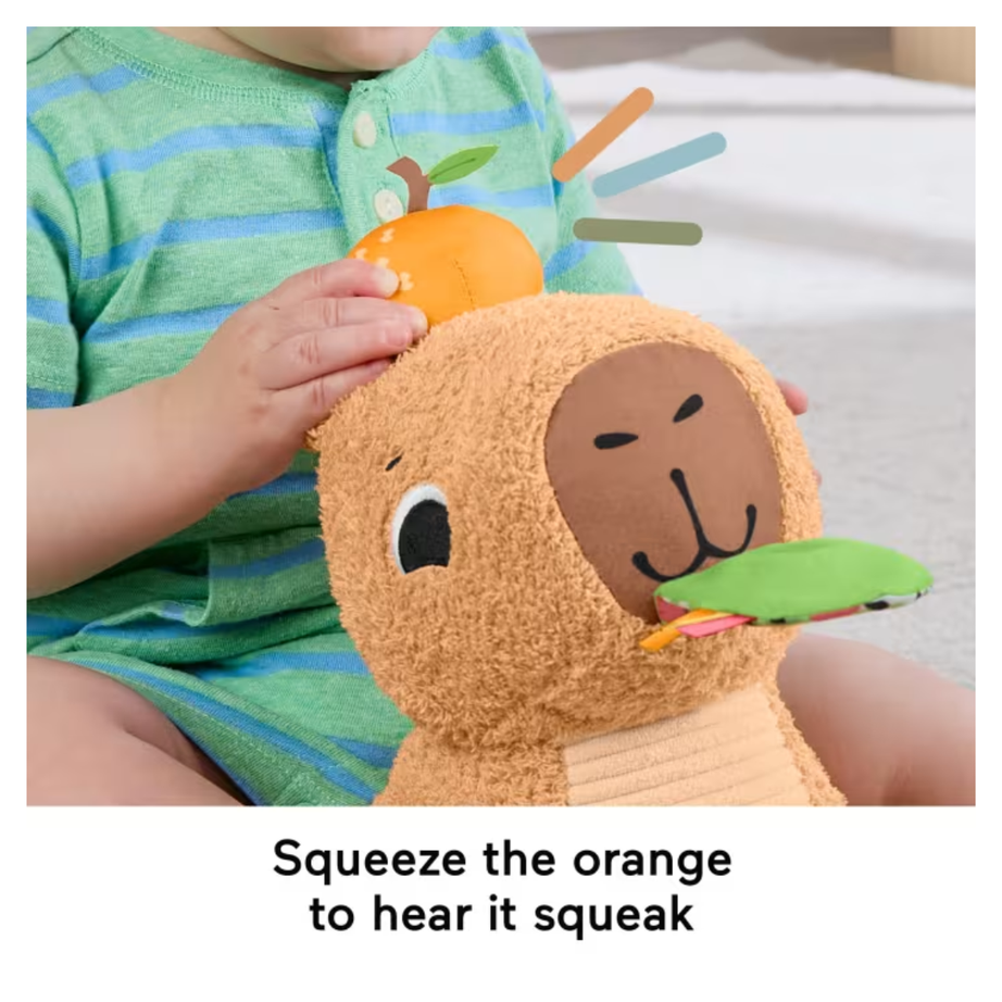 Fisher Price HYR54 Snuggly Snacky Capybara Plush Sensory Toy, Ages 3month+