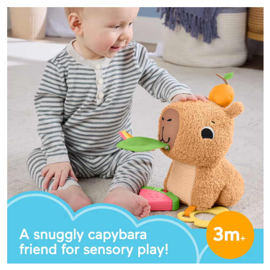 Fisher Price HYR54 Snuggly Snacky Capybara Plush Sensory Toy, Ages 3month+
