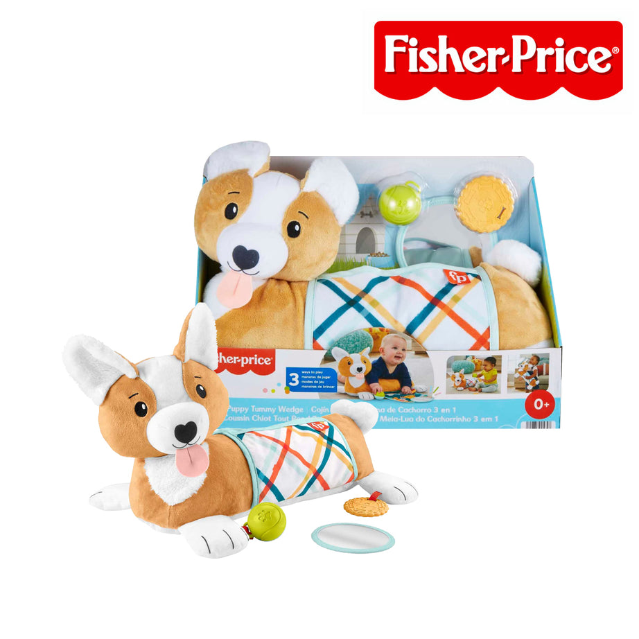 Fisher-Price HJW10 3-in-1 Puppy Tummy Wedge