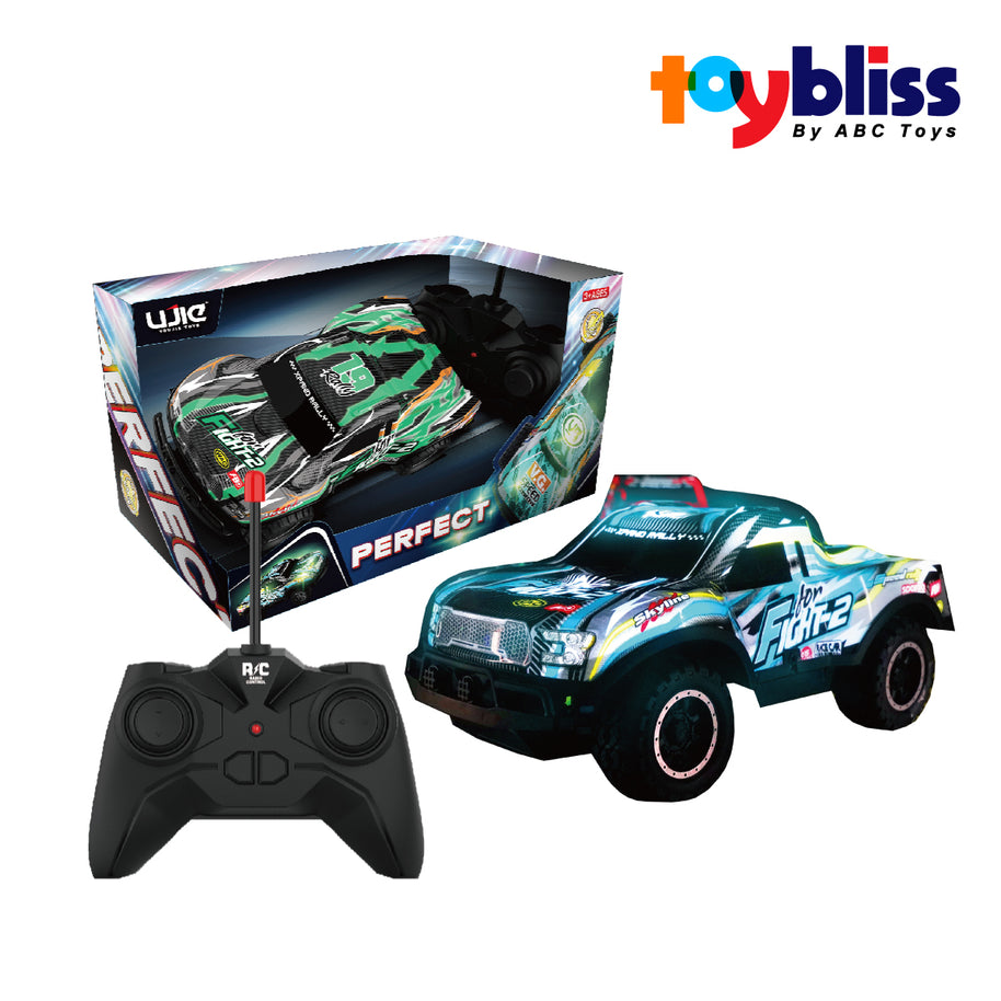 Toybliss Perfect 1:24 LED R/C Car (UJ99-Y242), Ages 3+